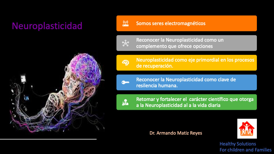 Taller Neuroplasticidad